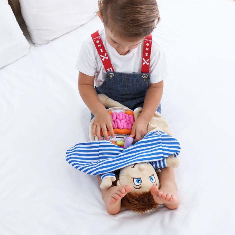 Human Viscera Cognitive Kid 3D - Human Body Puzzle recension och pris