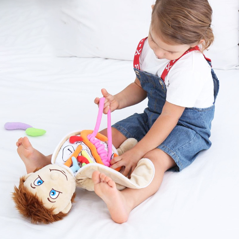 Human Viscera Cognitive Kid 3D - Human Body Puzzle recension och pris