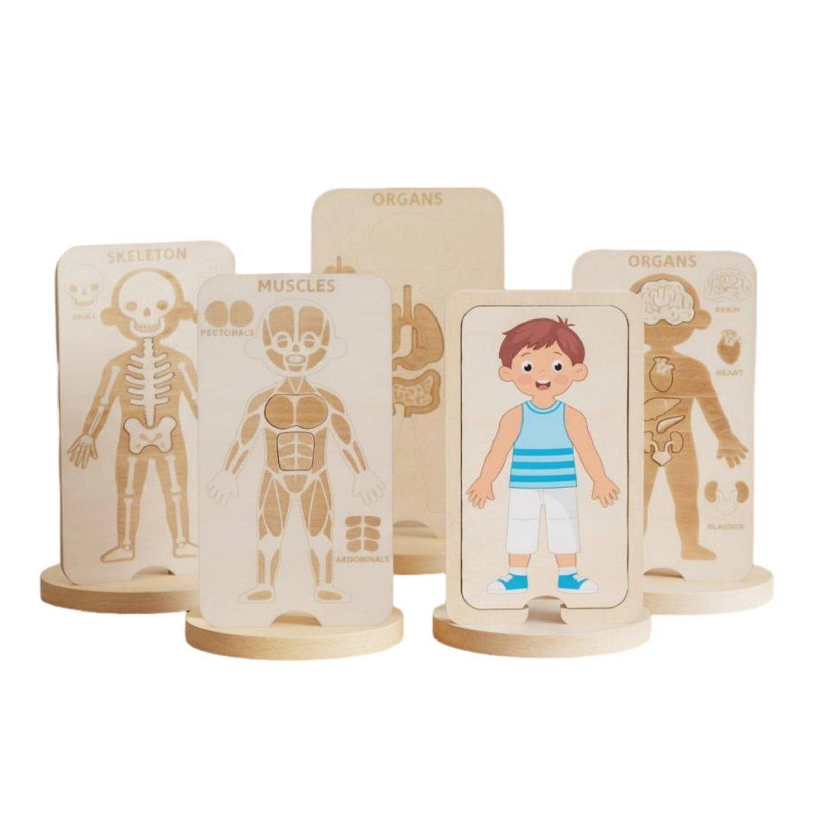 Kids Educational Wooden Puzzle - Human Body Puzzle recension och pris