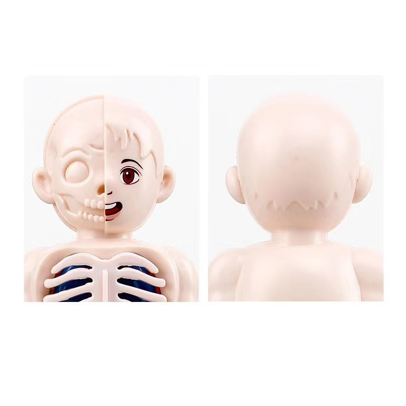 Montessori 3D Puzzle 14pcs Hum - Human Body Puzzle recension och pris