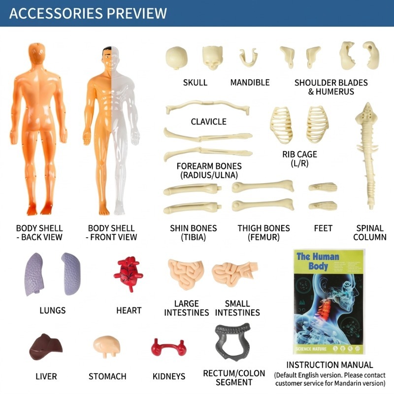 Primary School DIY Human Body  - Human Body Puzzle recension och pris
