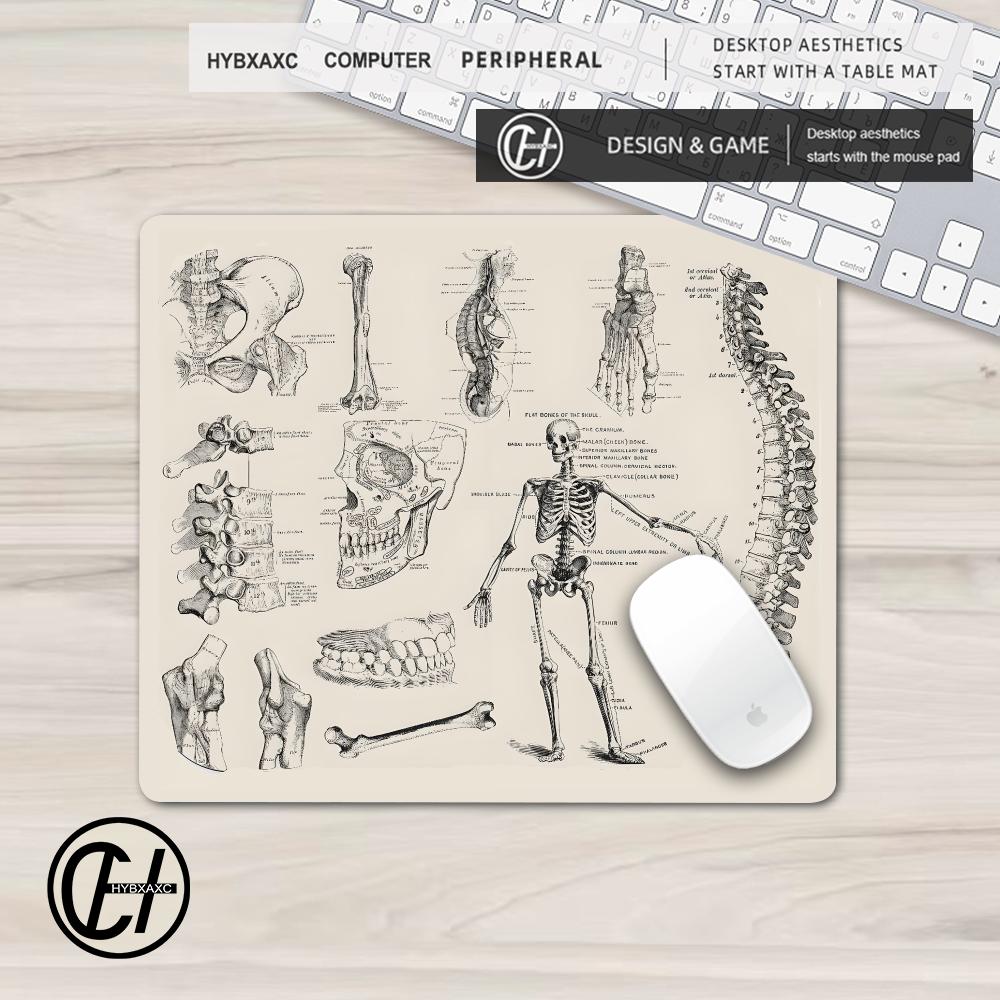 Anatomical Art Medical Mouse P - Multiplication Table Mat recension och pris