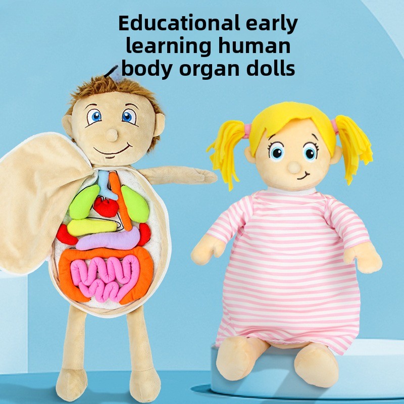 1Pc Human Organ Cognition Puzz - Human Body Puzzle recension och pris