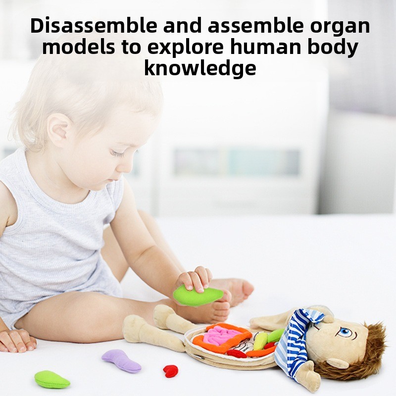 1Pc Human Organ Cognition Puzz - Human Body Puzzle recension och pris