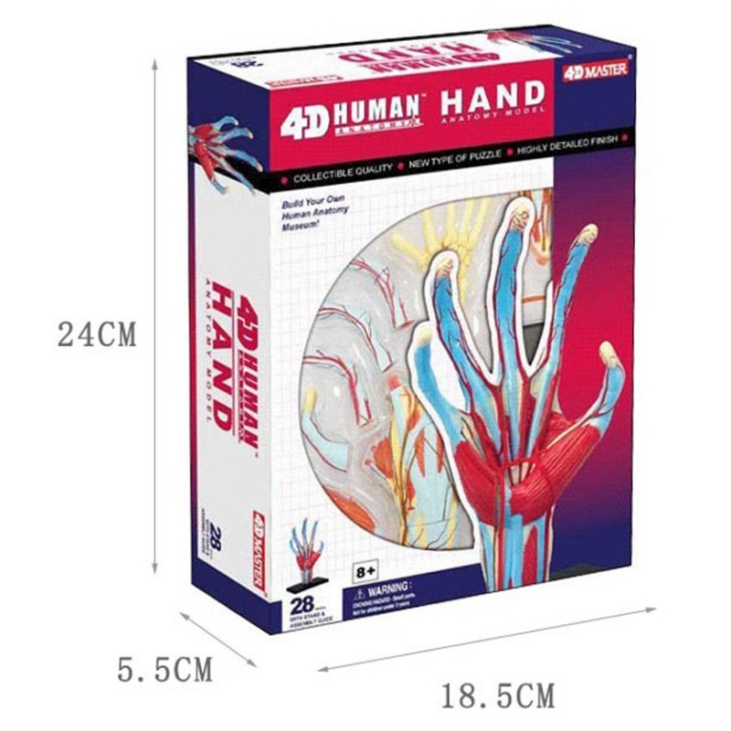 4d Master Human Hand Bone musc - Human Body Puzzle recension och pris