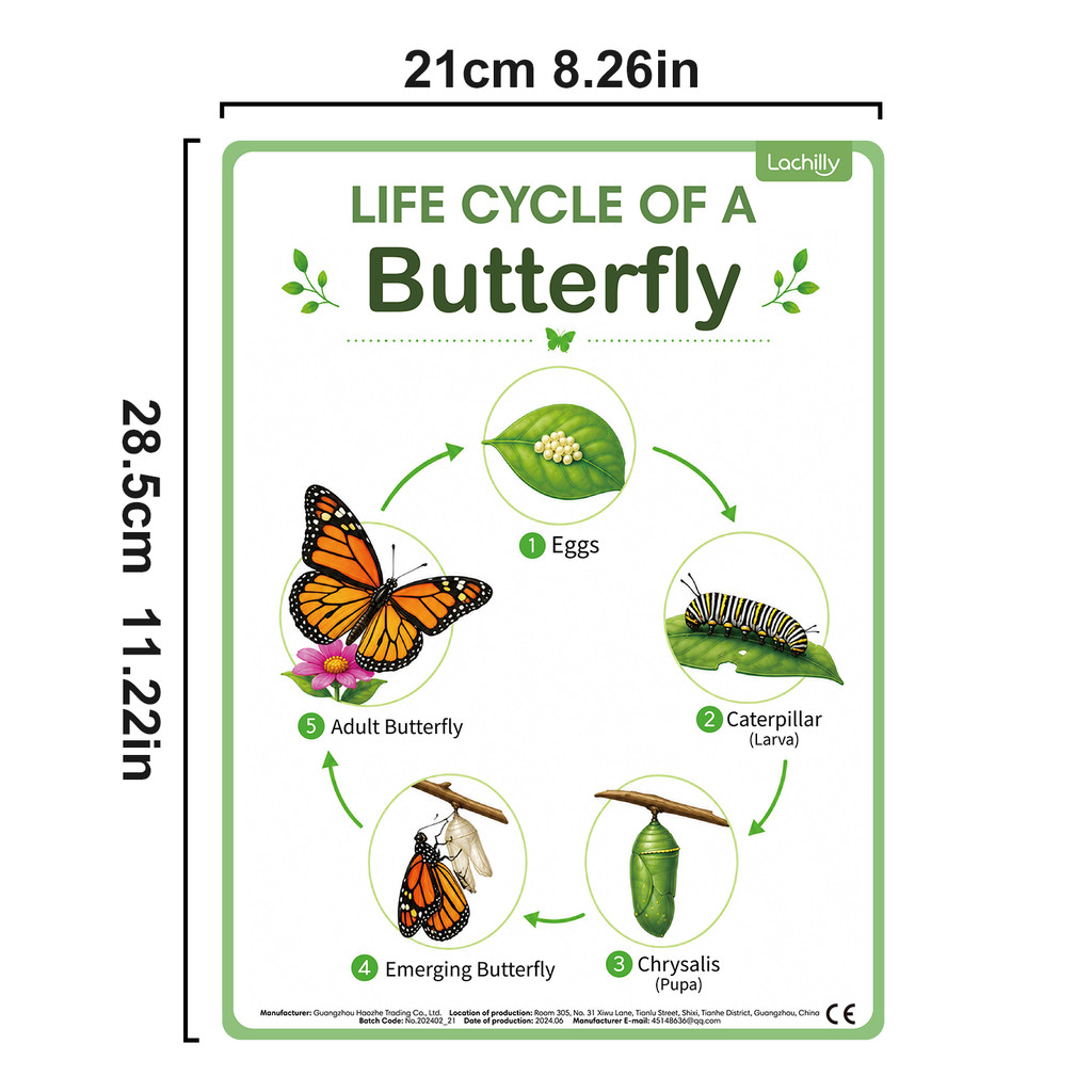 8Pcs Nature Life Cycle Educati - Kids Educational Poster recension och pris