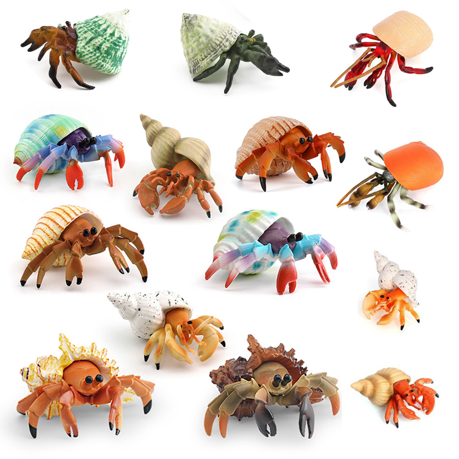 Realistic Hermit Crab Figurine - Kids Educational Game recension och pris
