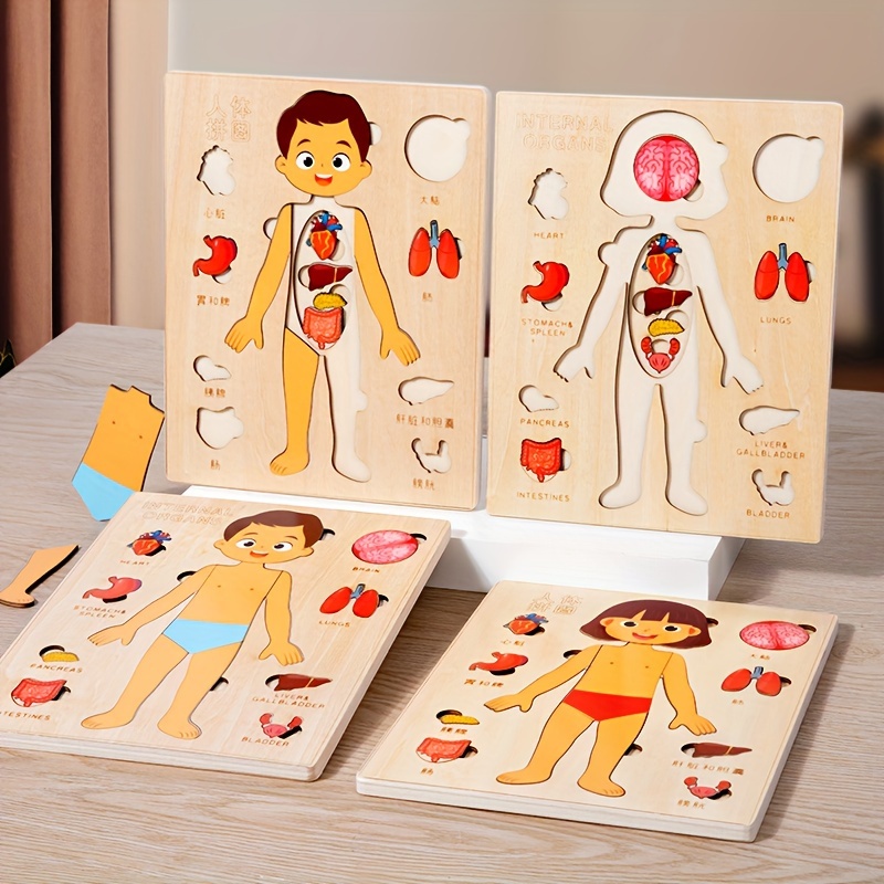 Human Body Puzzles for Kids Wo - Human Body Puzzle recension och pris