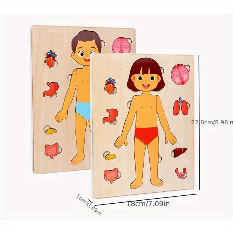 Human Body Puzzles for Kids Wo - Human Body Puzzle recension och pris