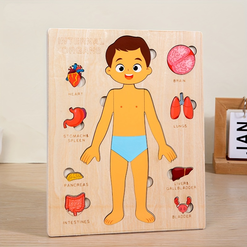 Human Body Puzzles for Kids Wo - Human Body Puzzle recension och pris