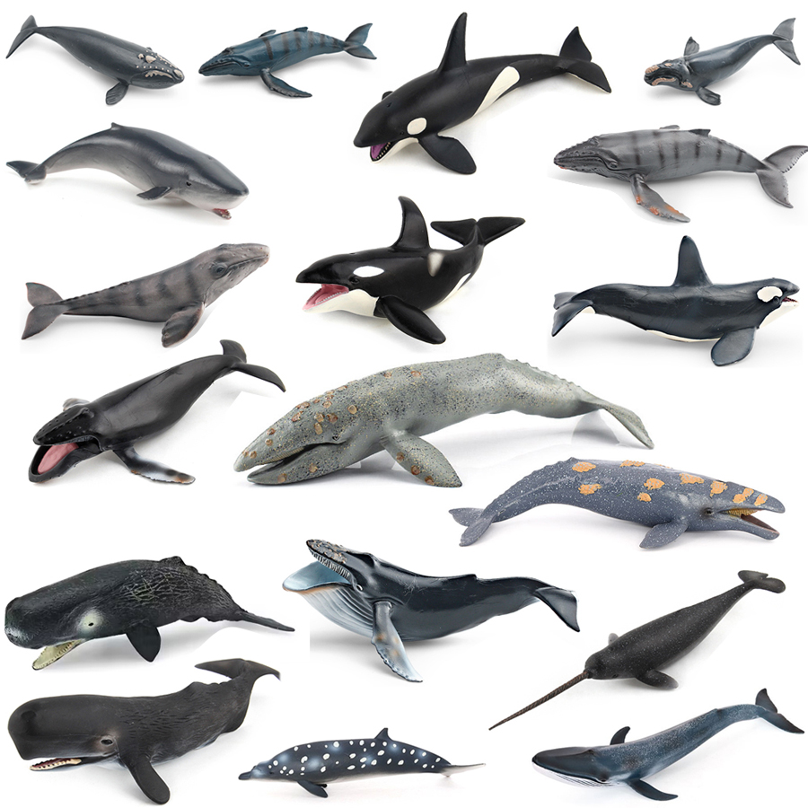 Realistic Humpback Whale Sperm - Kids No Education recension och pris