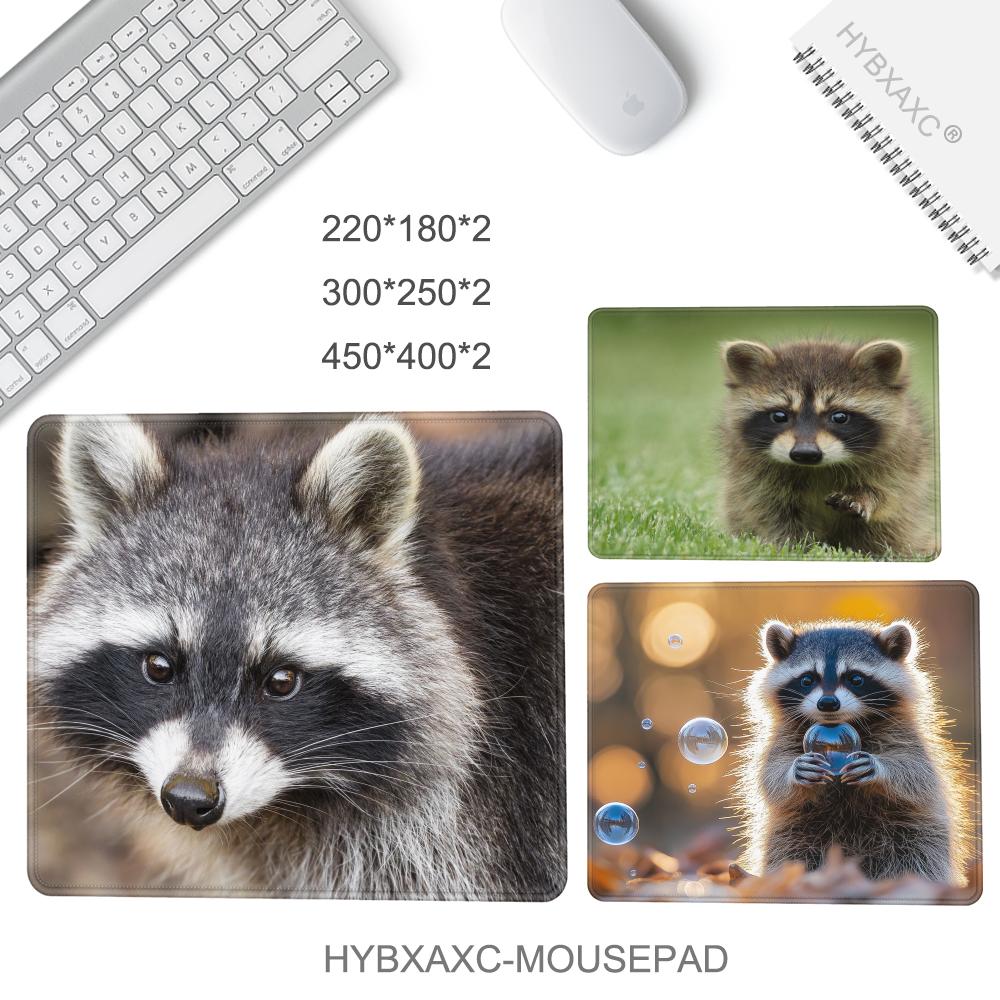 HYBXAXC Cute raccoon Cartoon M - Multiplication Table Mat recension och pris