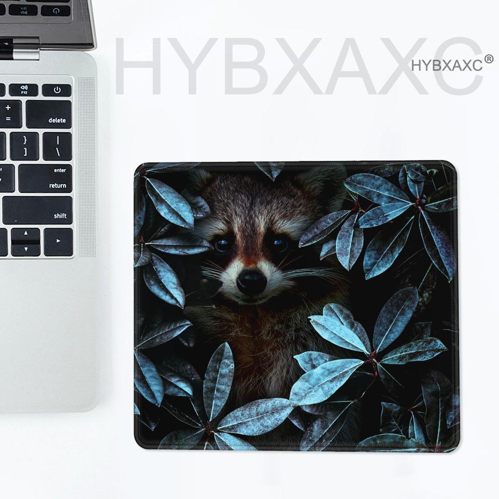 HYBXAXC Cute raccoon Cartoon M - Multiplication Table Mat recension och pris