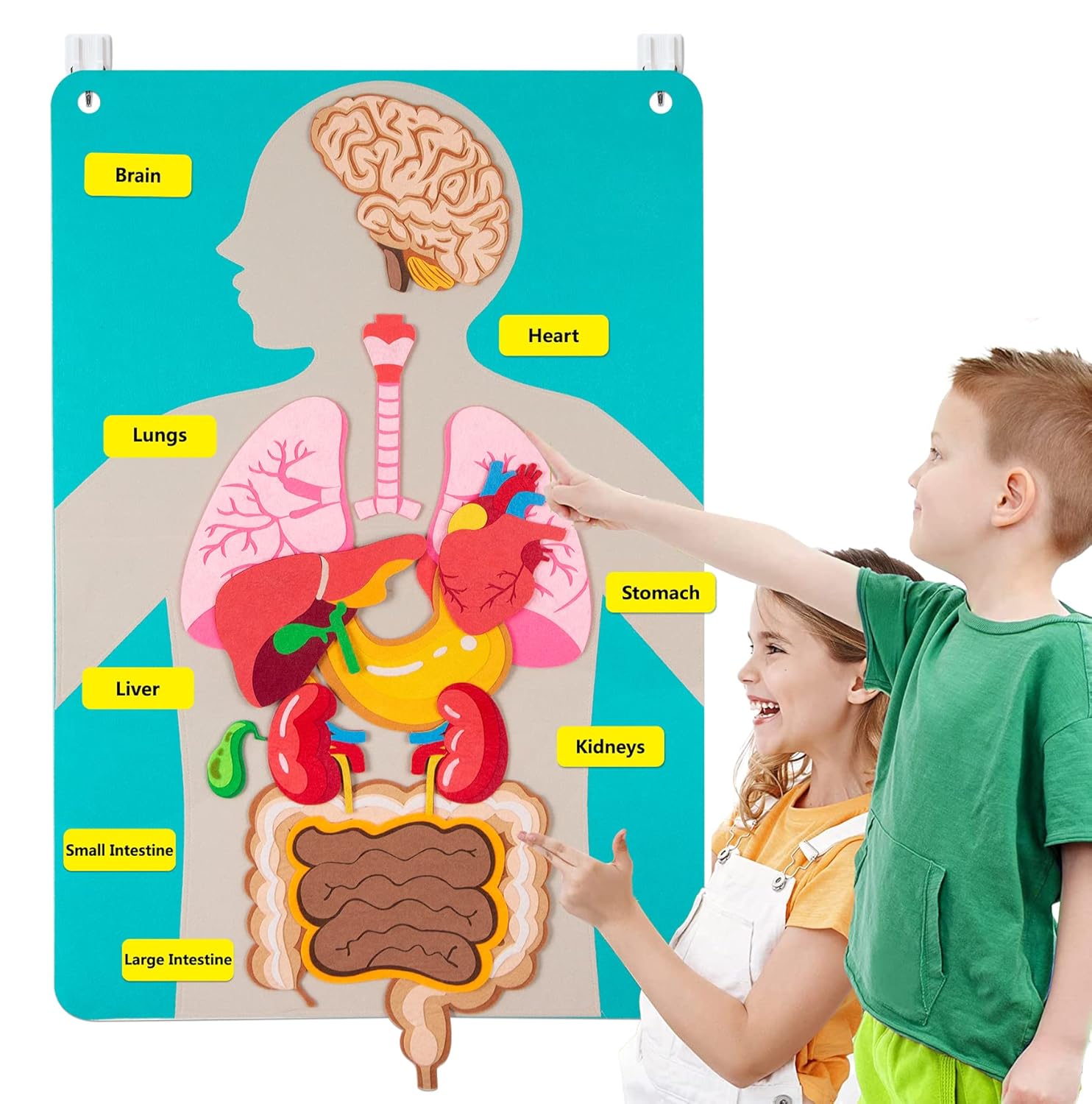 Human Body Parts Felt Board St - Human Body Puzzle recension och pris