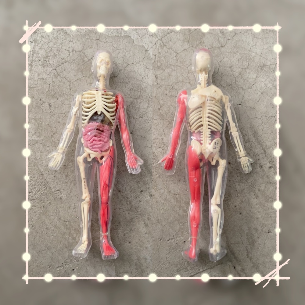 In Stock Default Defect Origin - Human Body Puzzle recension och pris