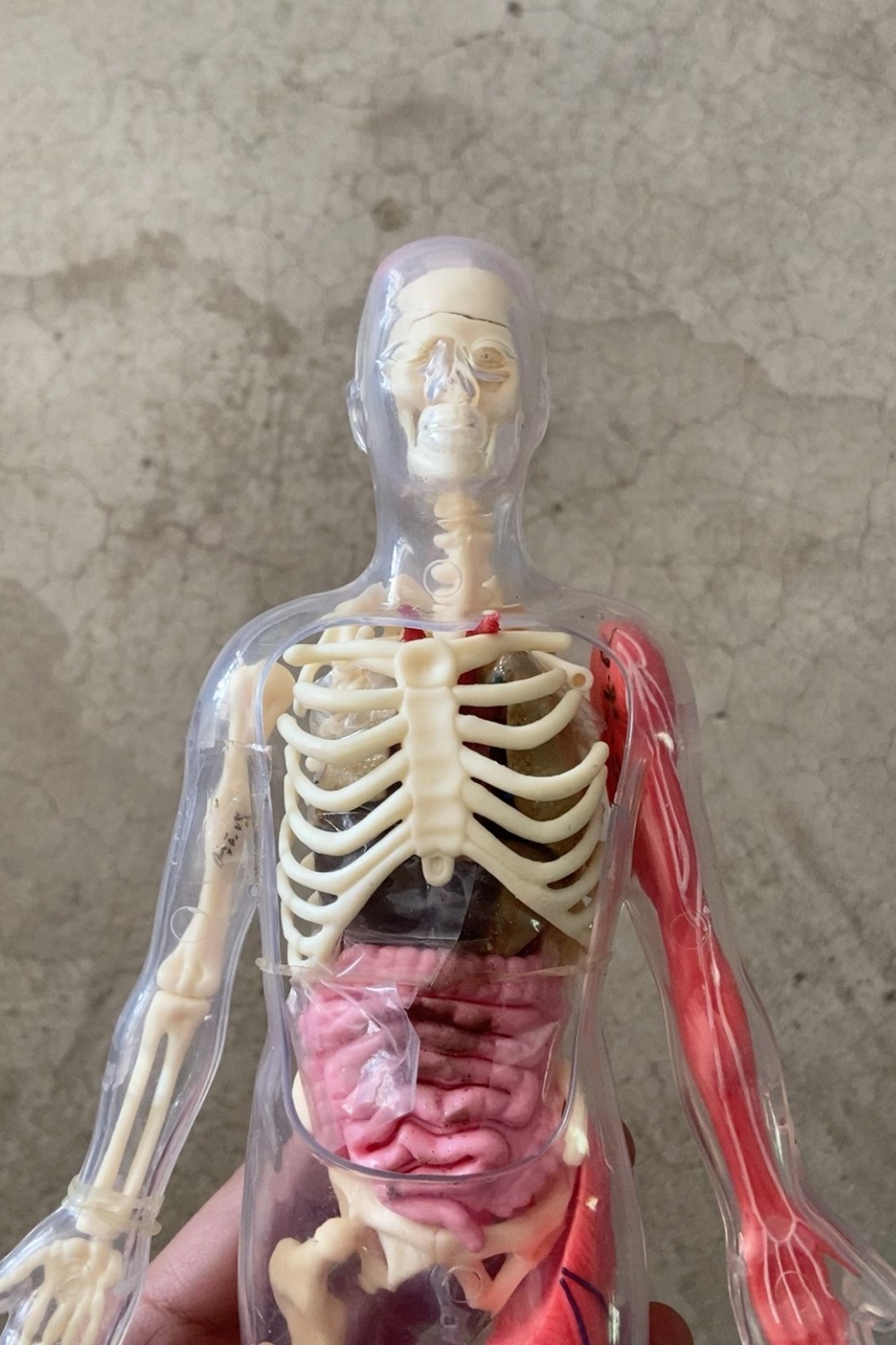 In Stock Default Defect Origin - Human Body Puzzle recension och pris