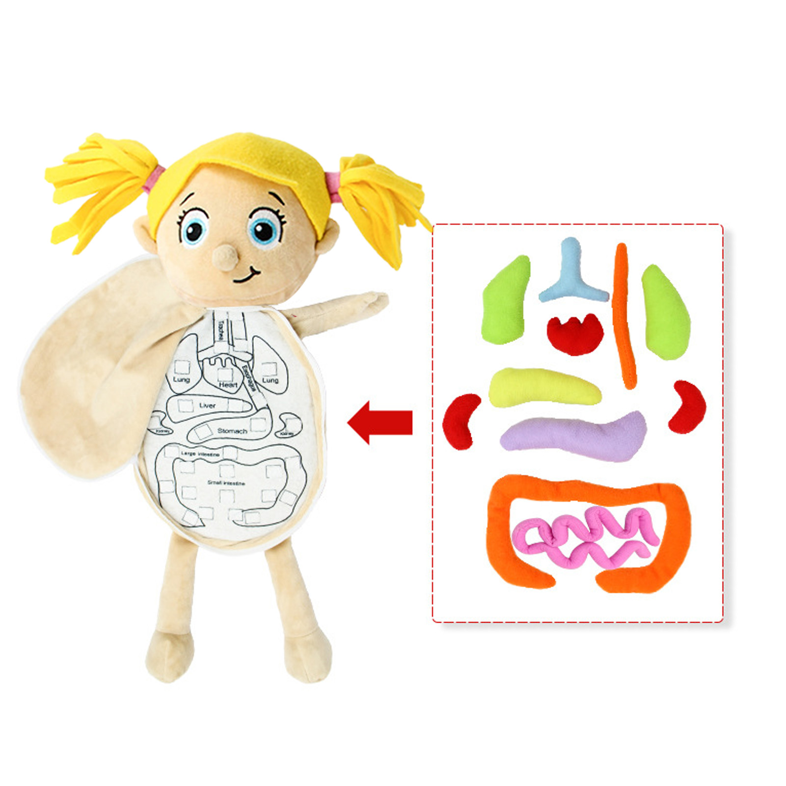 Kid Montessori Toys 3D Puzzle  - Human Body Puzzle recension och pris