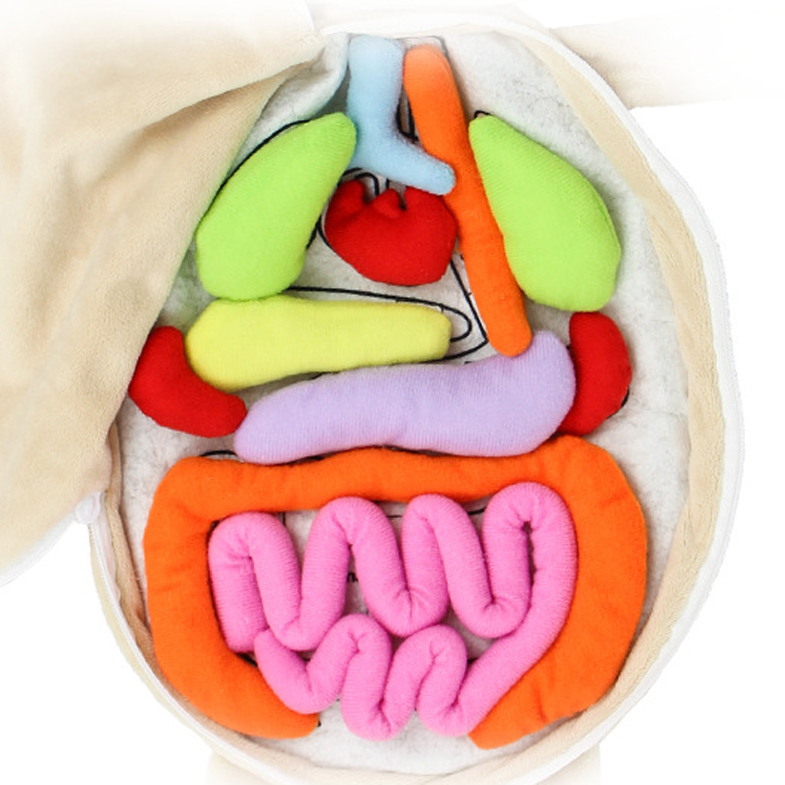 Kid Montessori Toys 3D Puzzle  - Human Body Puzzle recension och pris