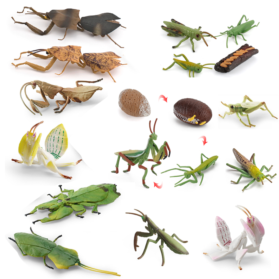 Realistic Orchid Mantis Dead L - Kids Educational Device recension och pris